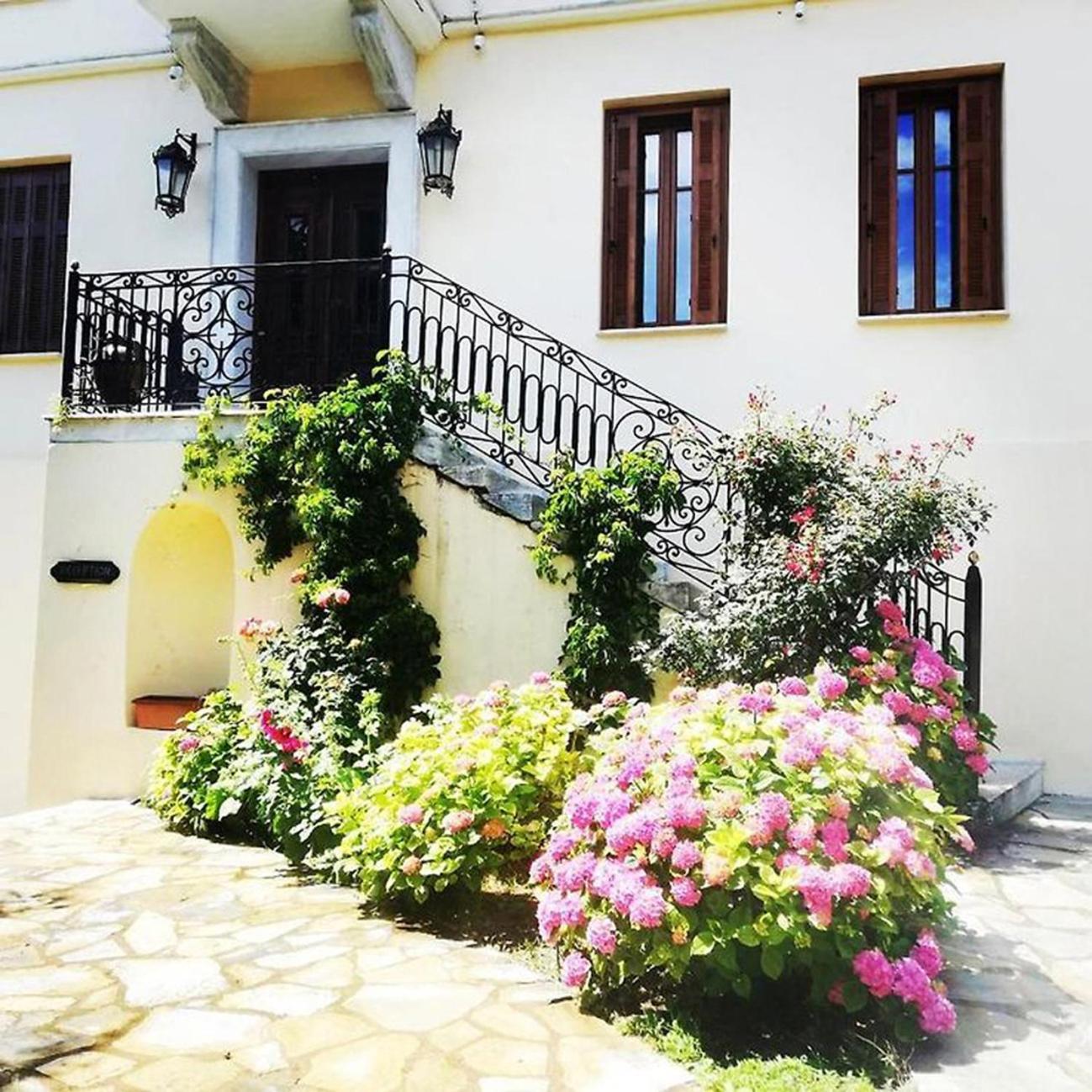 Archontiko Polyzos Hotel Portariá Kültér fotó